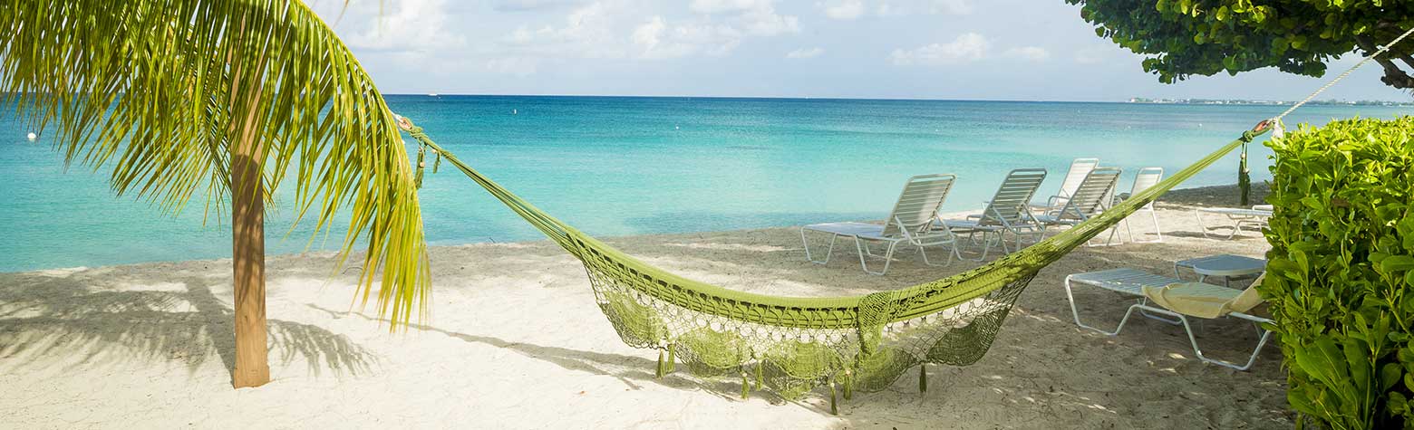 image of Hilton Aruba Caribbean Resort & Casino | Weddings & Packages | Destination Weddings