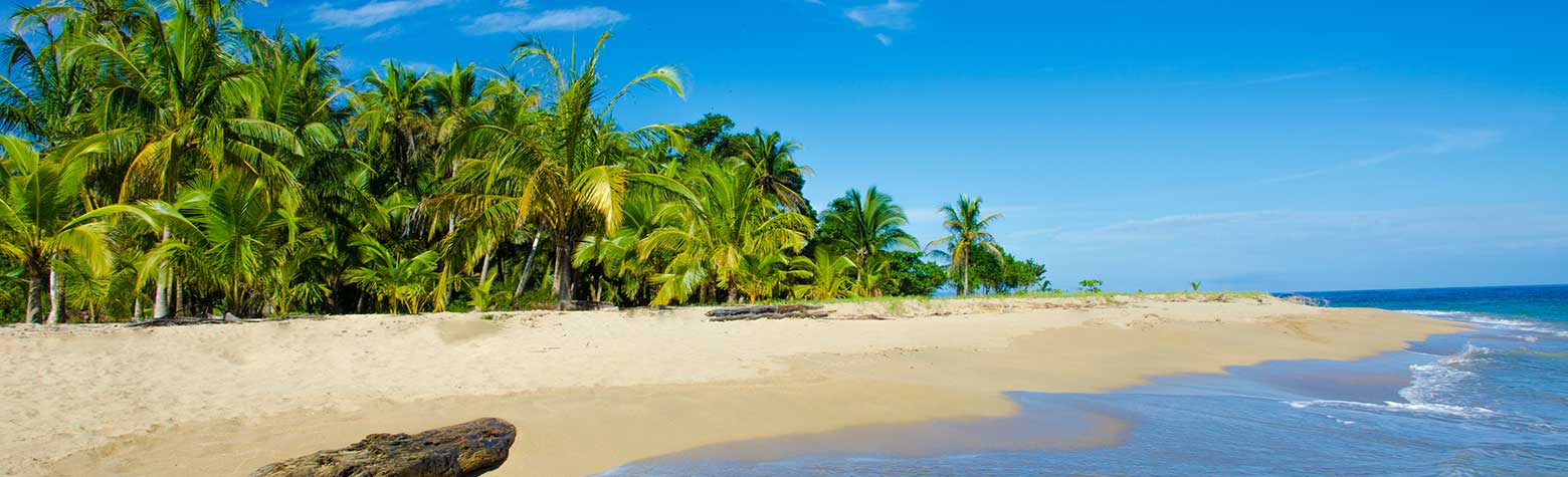image of Margaritaville Beach Resort Playa Flamingo, Costa Rica | Weddings & Packages | Destination Weddings